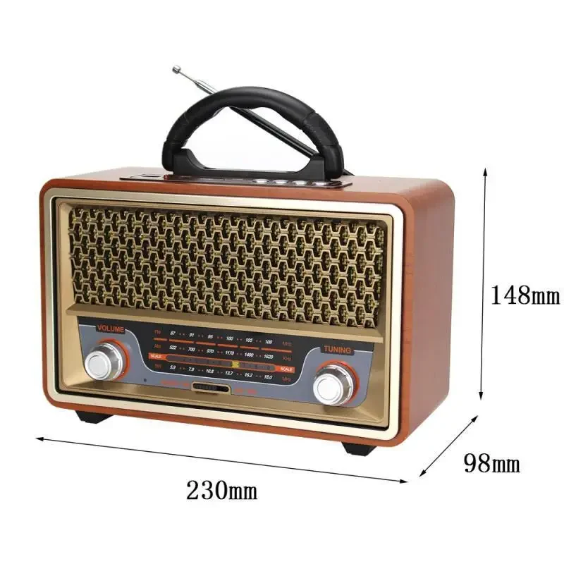 Radio Portatile Retrò di Alta  - Apple Music Audio Quality recensione e prezzo